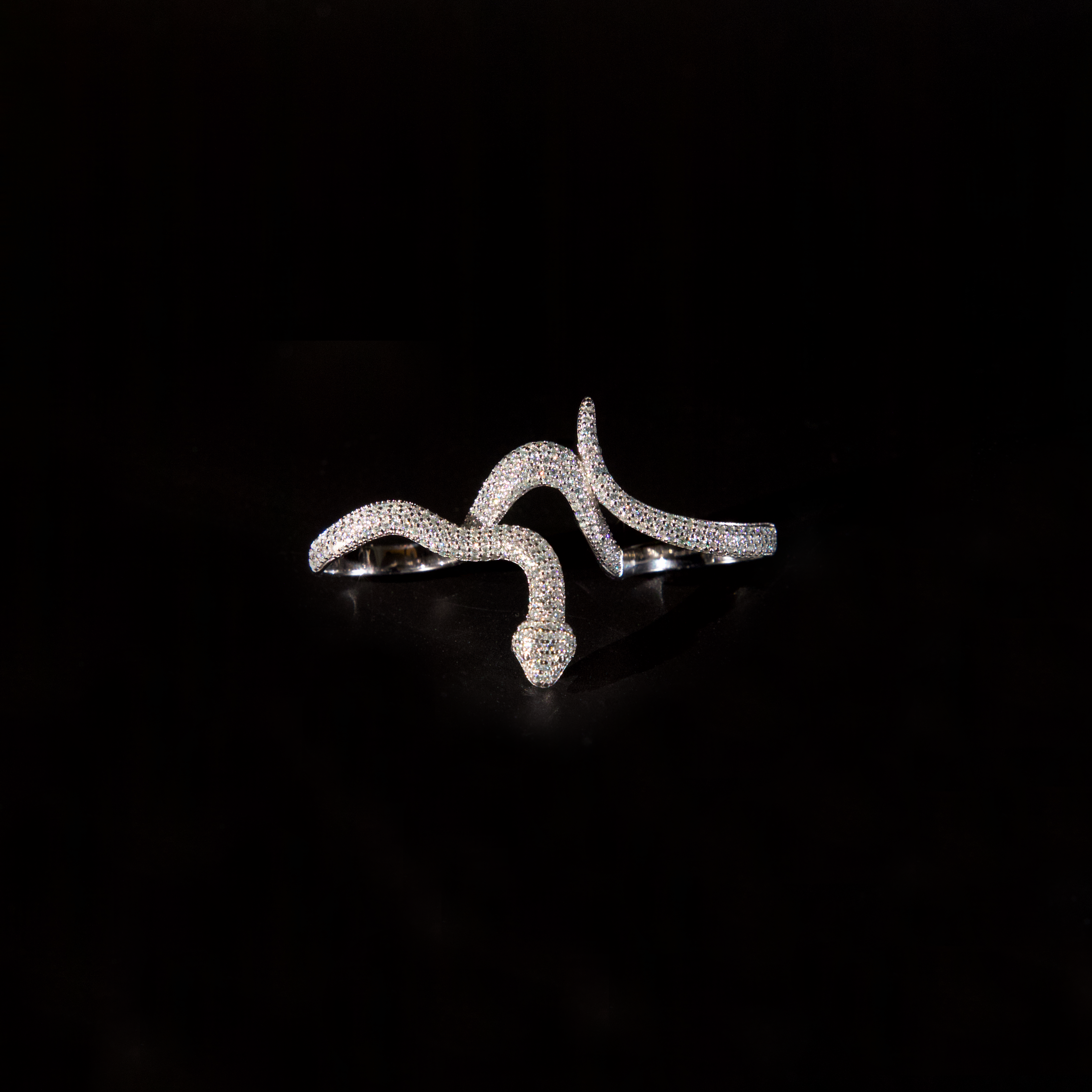 Snake Ring (Silver)