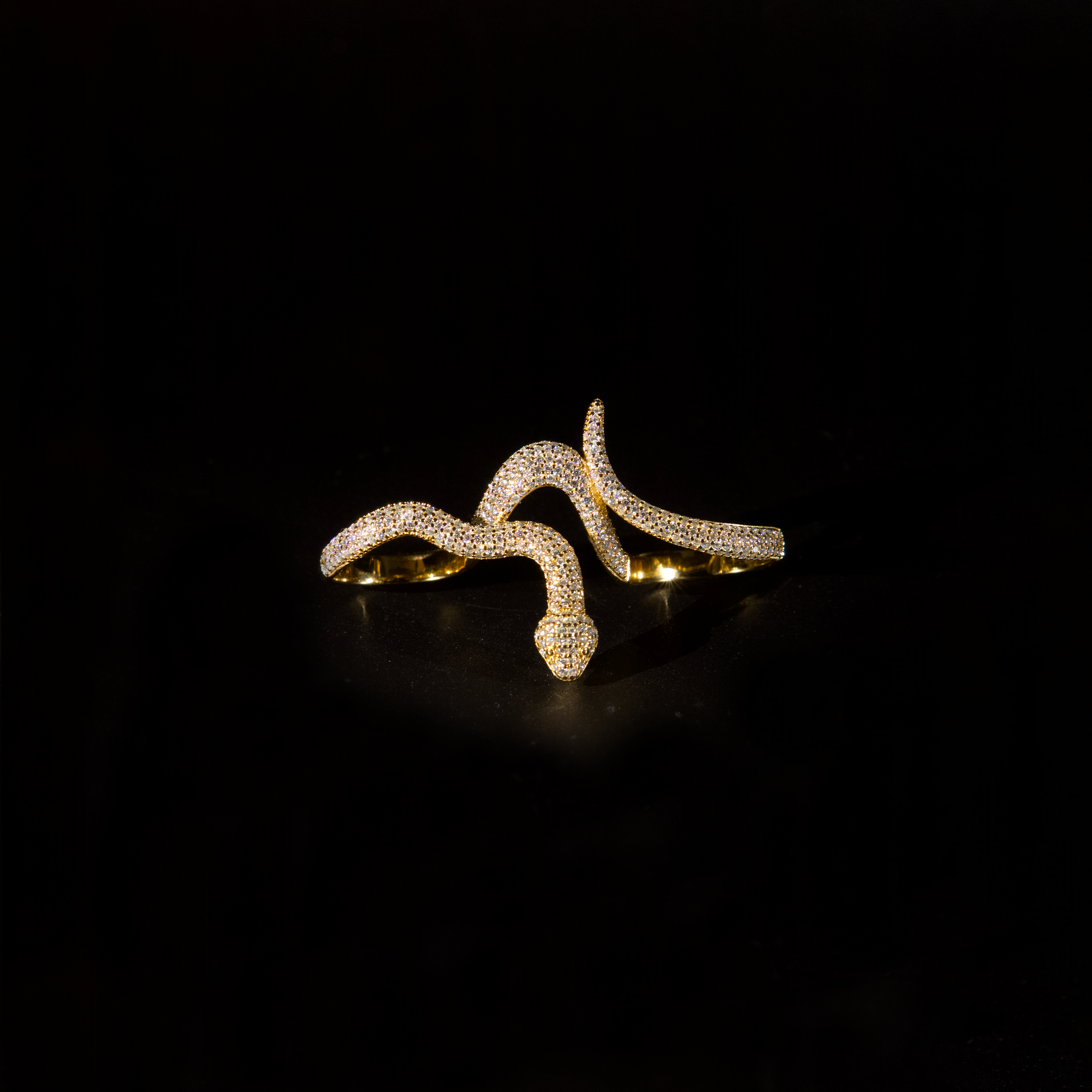 Snake Ring (Gold)