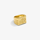 Floral Signet Ring — Yellow Gold studio view | colour:yellow