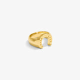 Horseshoe Ring — Yellow Gold view 1 | colour:yellow