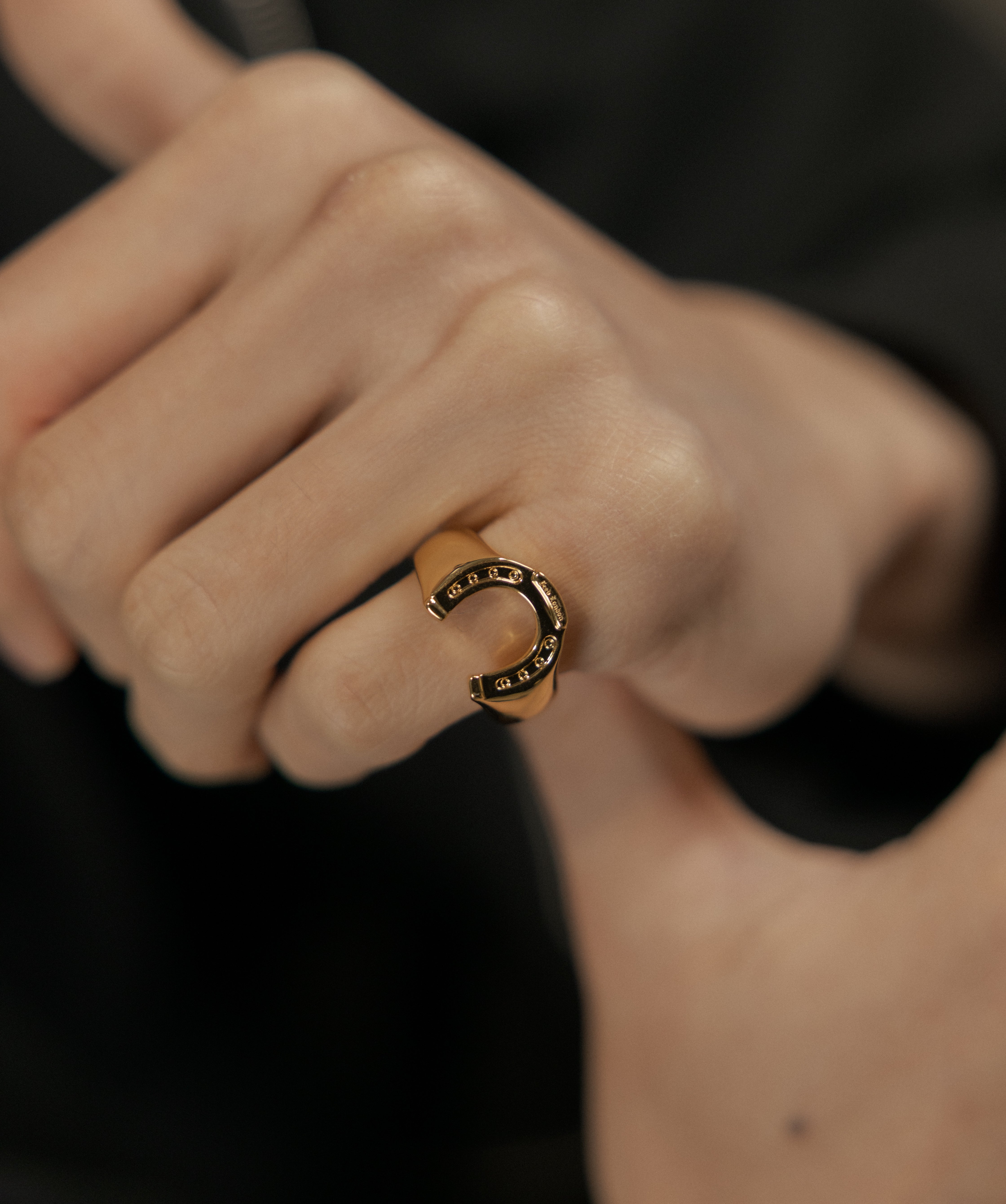 Horseshoe Ring — Yellow Gold view 2 | colour:yellow